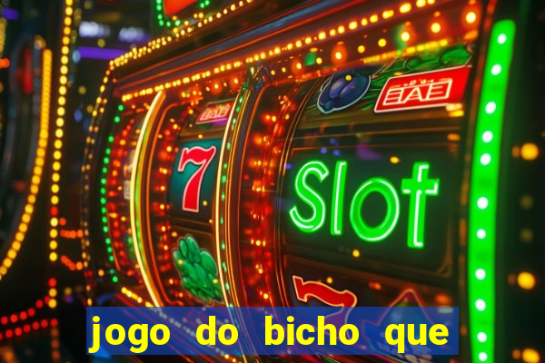 jogo do bicho que paga no pix